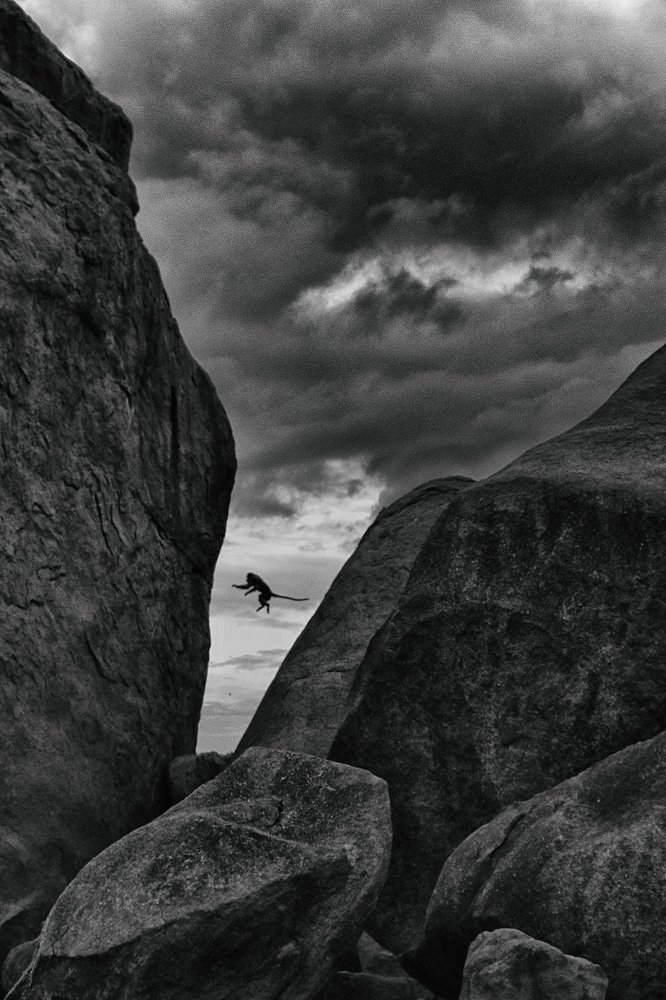 Фотография автора Udayan Sankar Pal