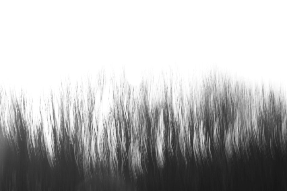 Photograph by Pourarab Mohammad Mahdi