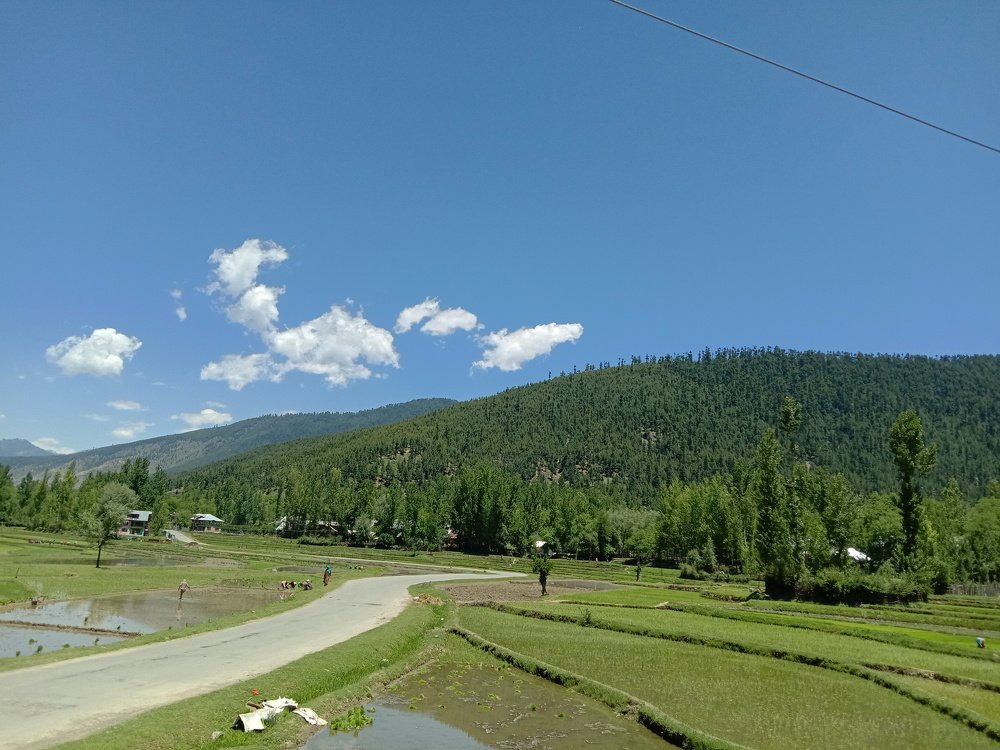 Photo #4173920