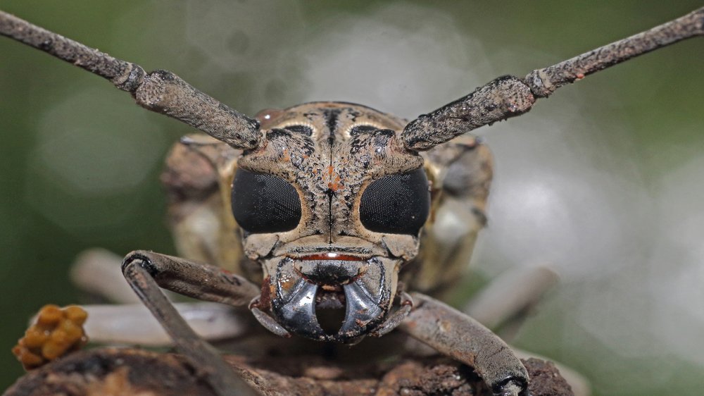 Photograph by Yogesh Puranik