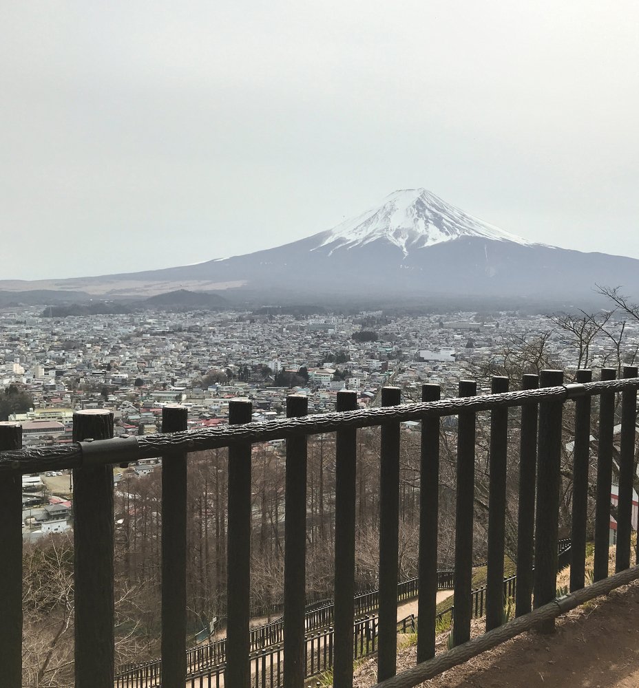 Photograph by Olga Yankus