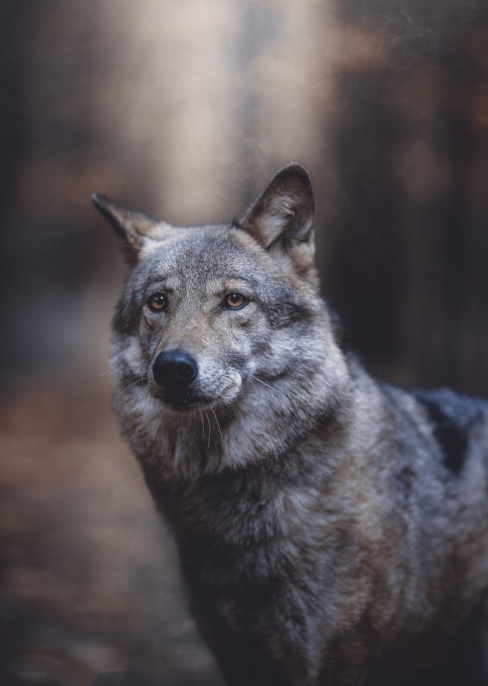 Photograph by Anna Yarkova