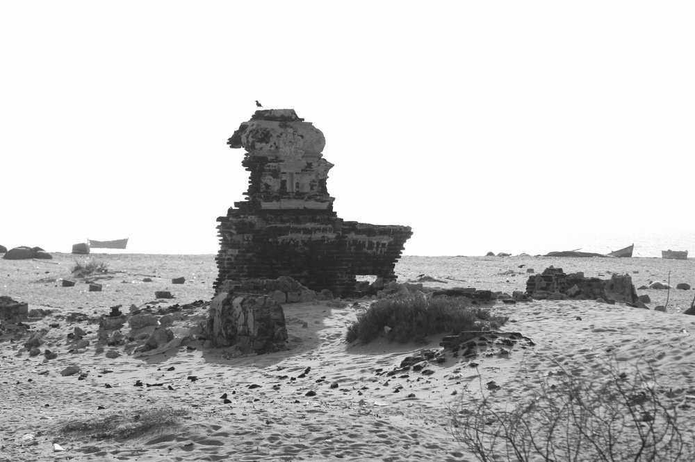 Photograph by Venki Venkatesh