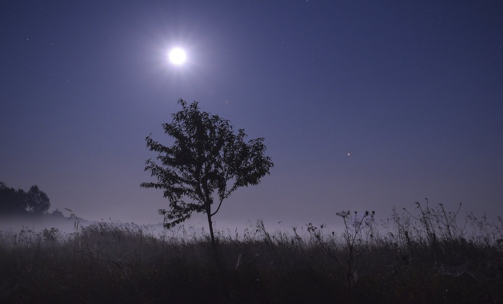 Photograph by Ярослав Думчев