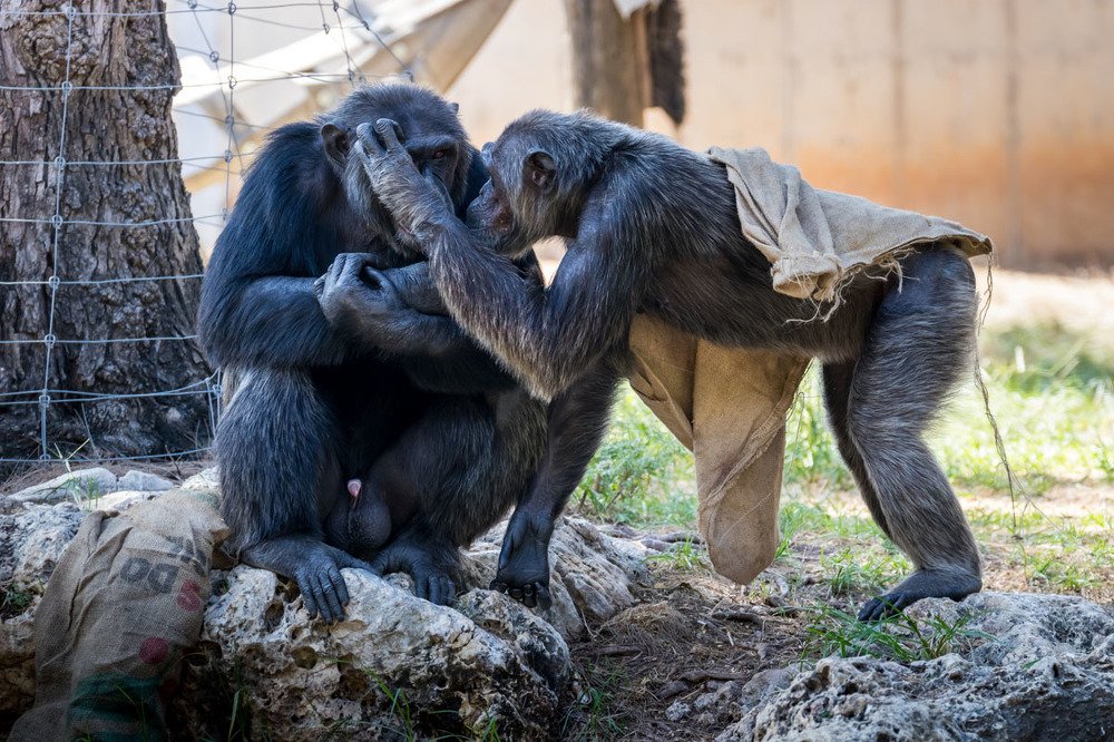 Фотография автора Nikolay Tatarchuk