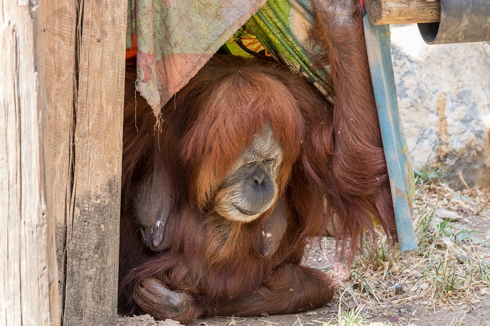 Фотография автора Nikolay Tatarchuk