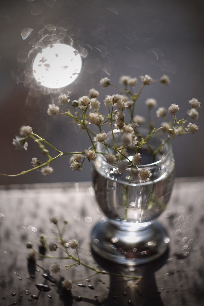 Photograph by Шаромов Иван