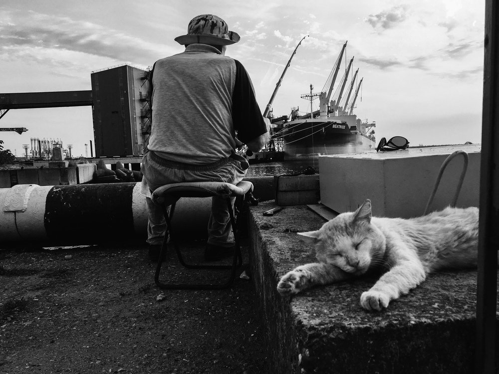 Photograph by Эльвира Мясищева