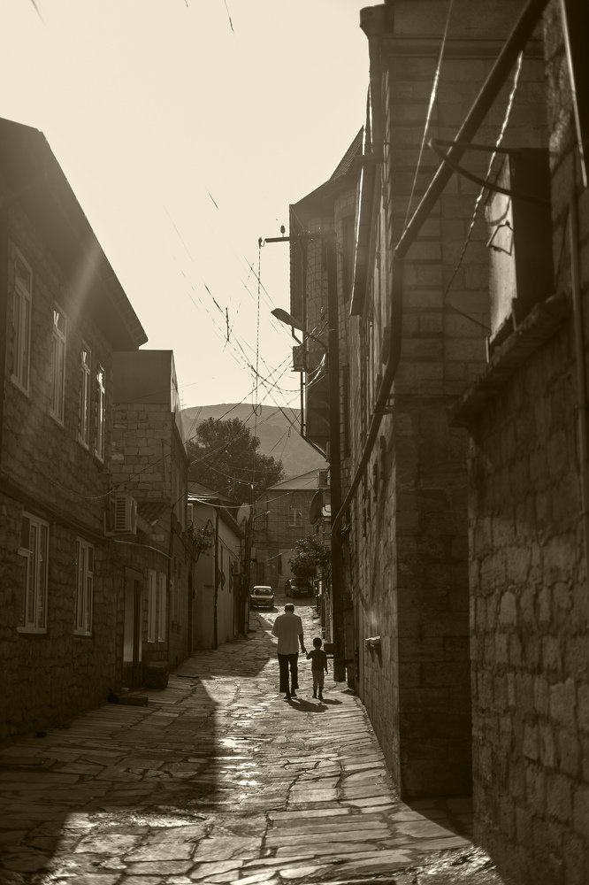 Фотография автора Анна Василенко