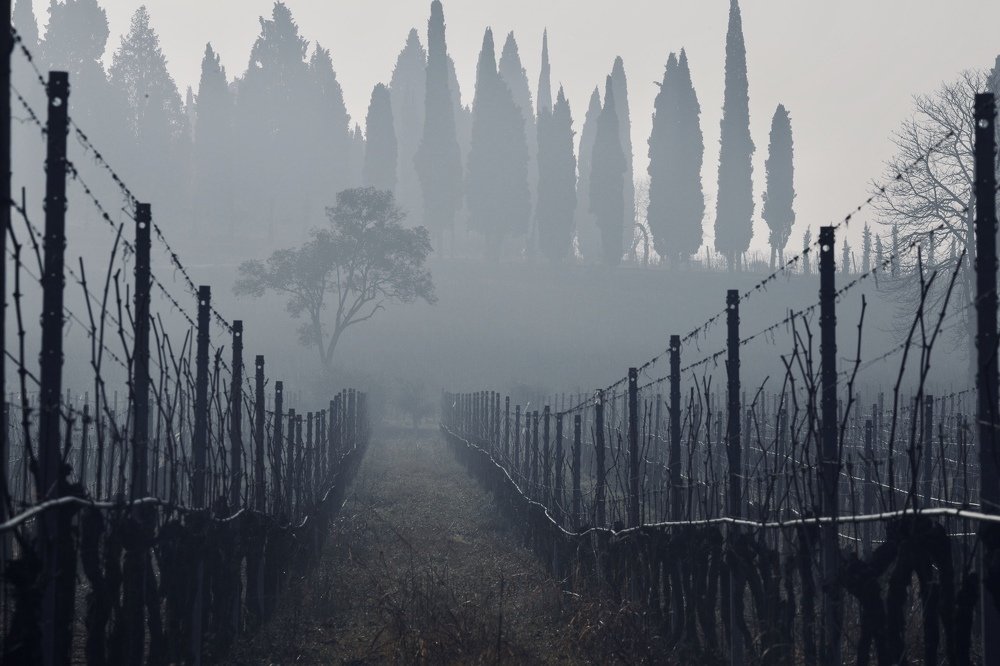 Photograph by Наталья Филькина