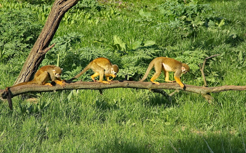 Photograph by Юрий Чистяков