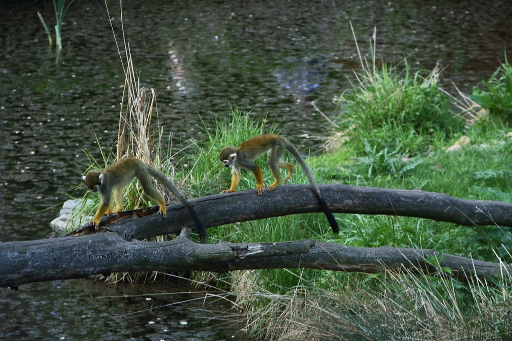 Photograph by Юрий Чистяков