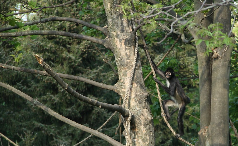 Photograph by Юрий Чистяков