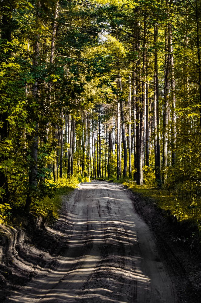 Photograph by Никита Богомолов