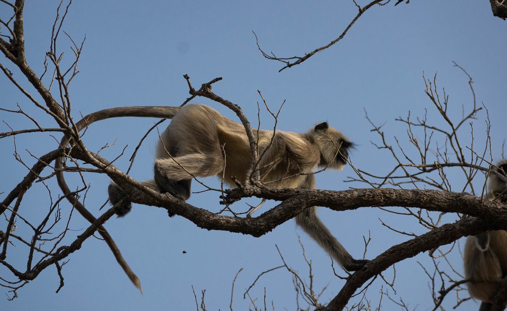 Photograph by Dewanshu kumar Roy