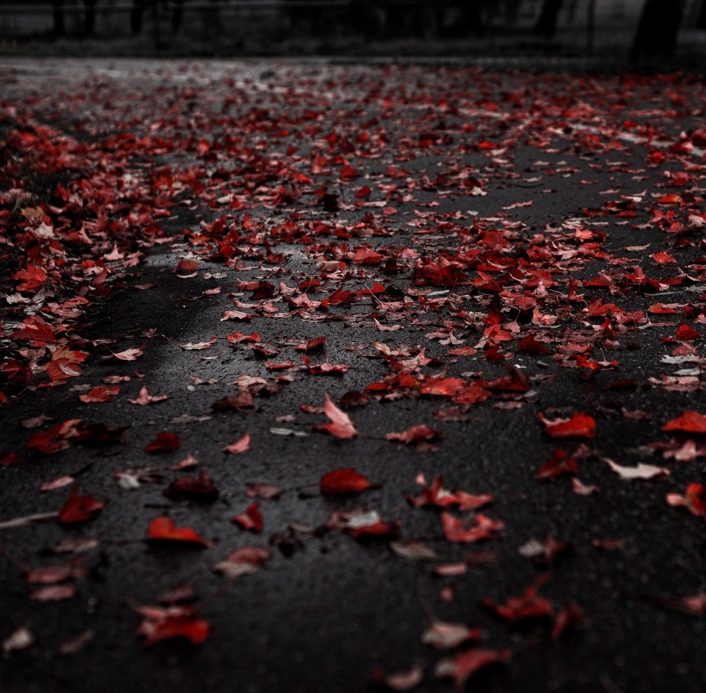 Photograph by Александр Быдрицкий