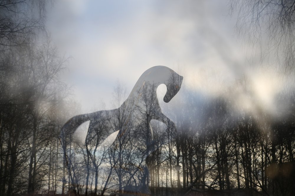 Photograph by Александра Вотякова