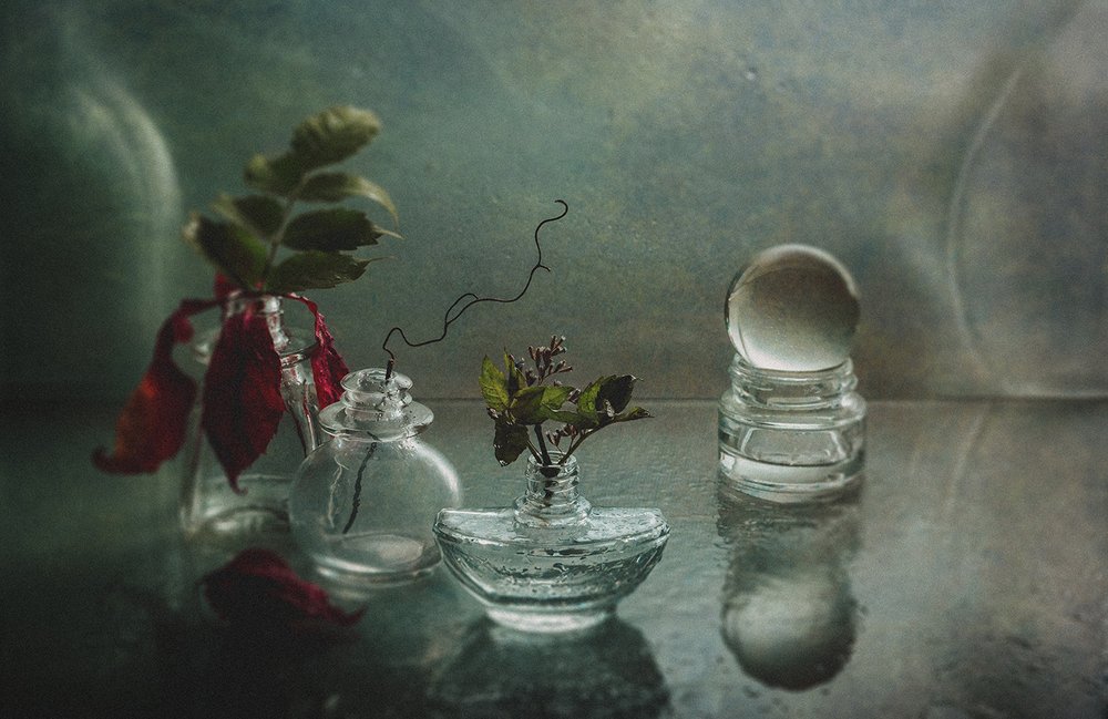 Photograph by MVO (Марк Орлов)