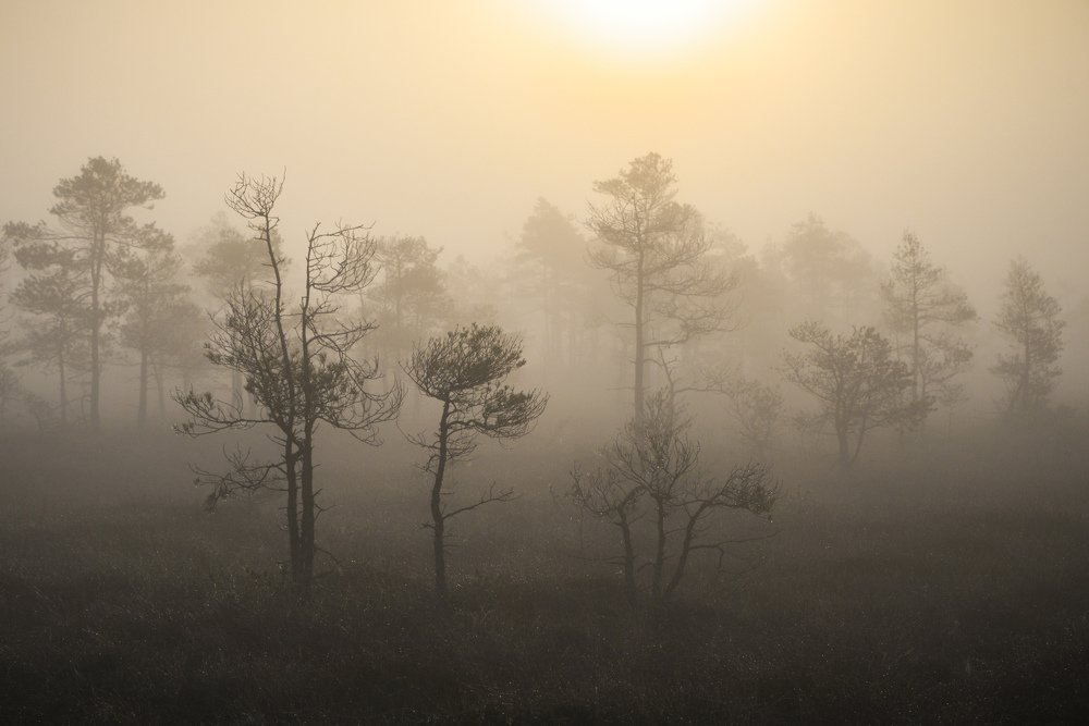 Сакральность утра