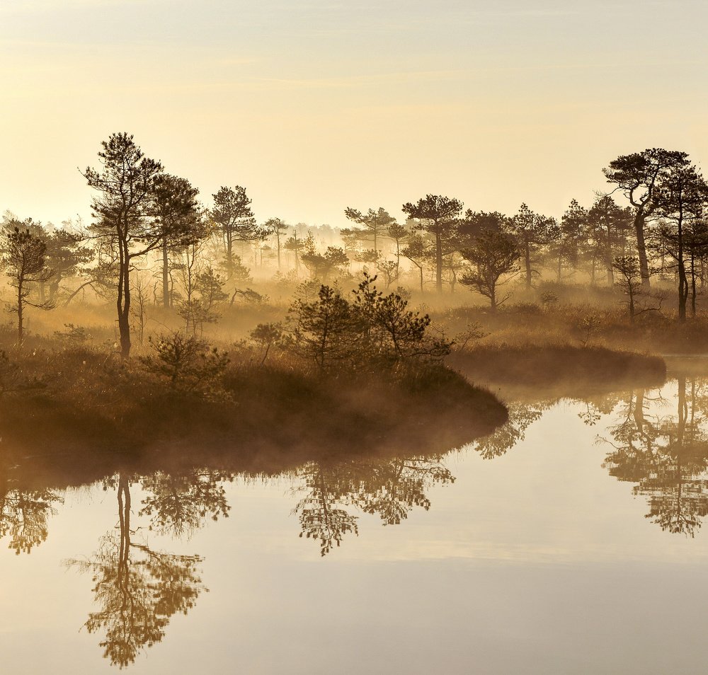 Photograph by Sandra Kazlauskiene