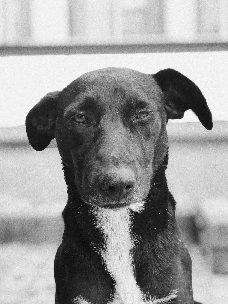 Photograph by Сергей Дубровский