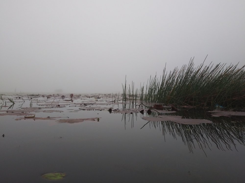 Foggy view of lake