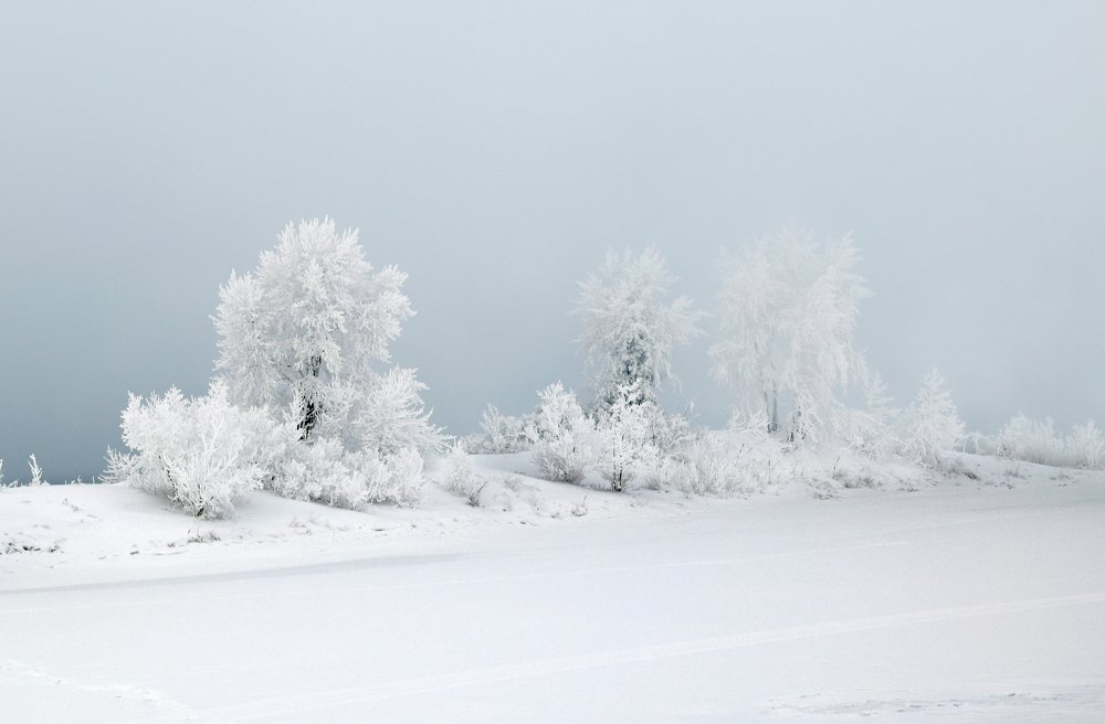 Photograph by Светлана Крат