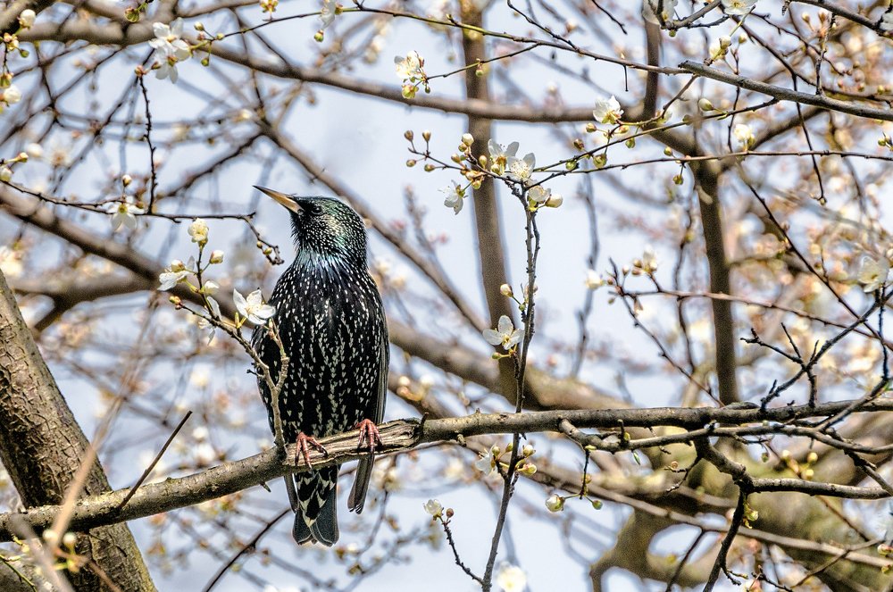 Photograph by Александр Поборчий
