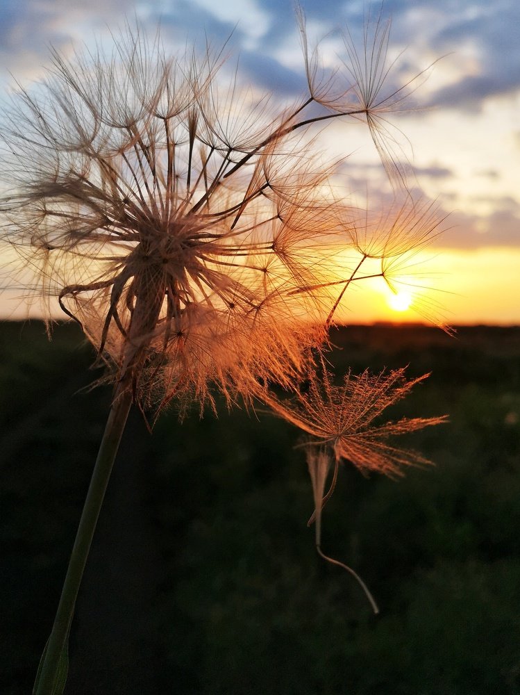 Photograph by Елена Николаева