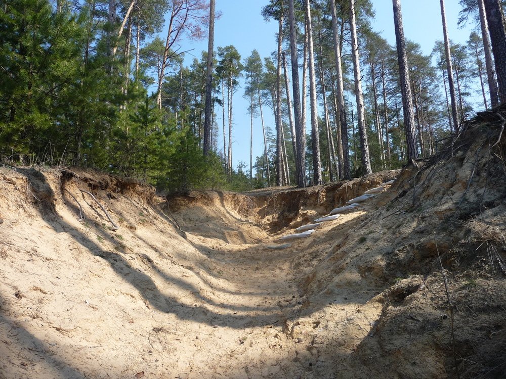 Фотография автора Клавдия Васильева