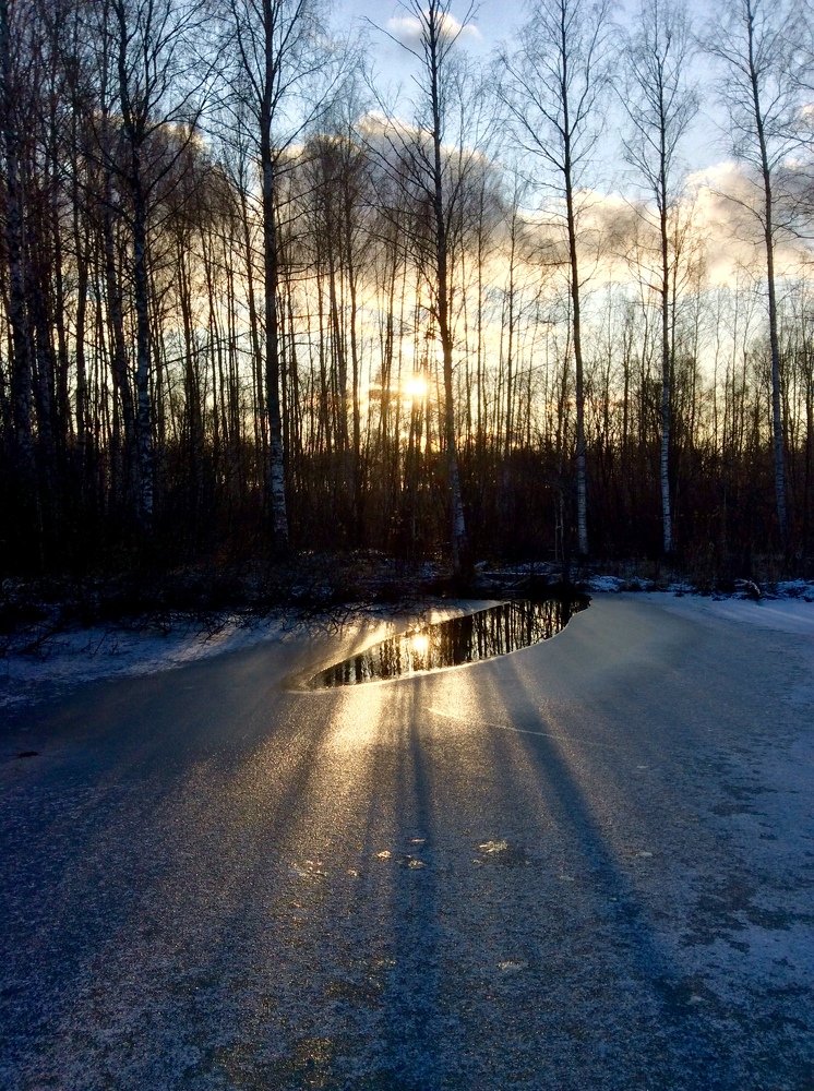 Photo #4175115