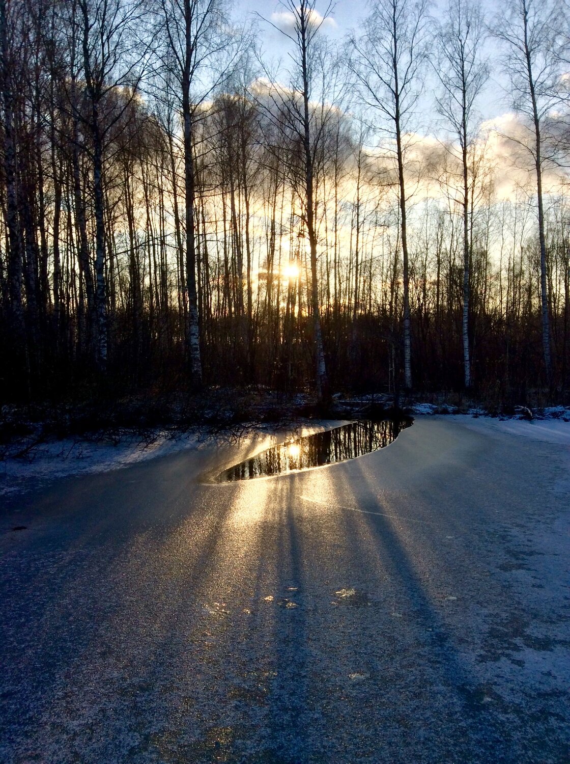 Photo #4175115