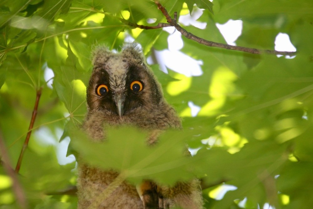 Photograph by Наталья Пирогова