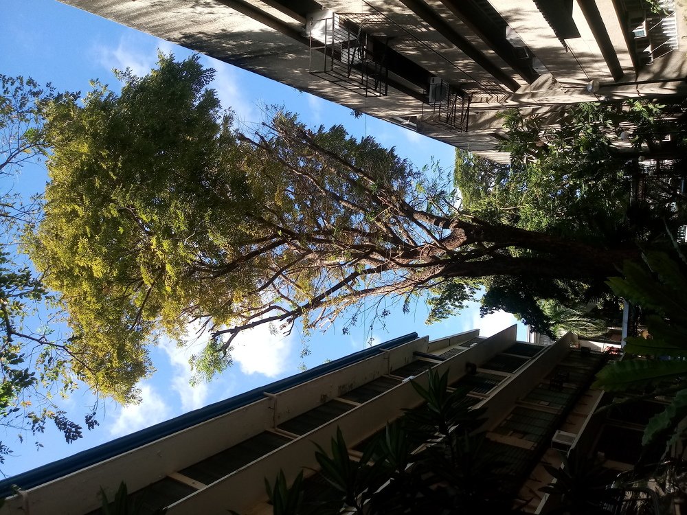 Photo #4175205