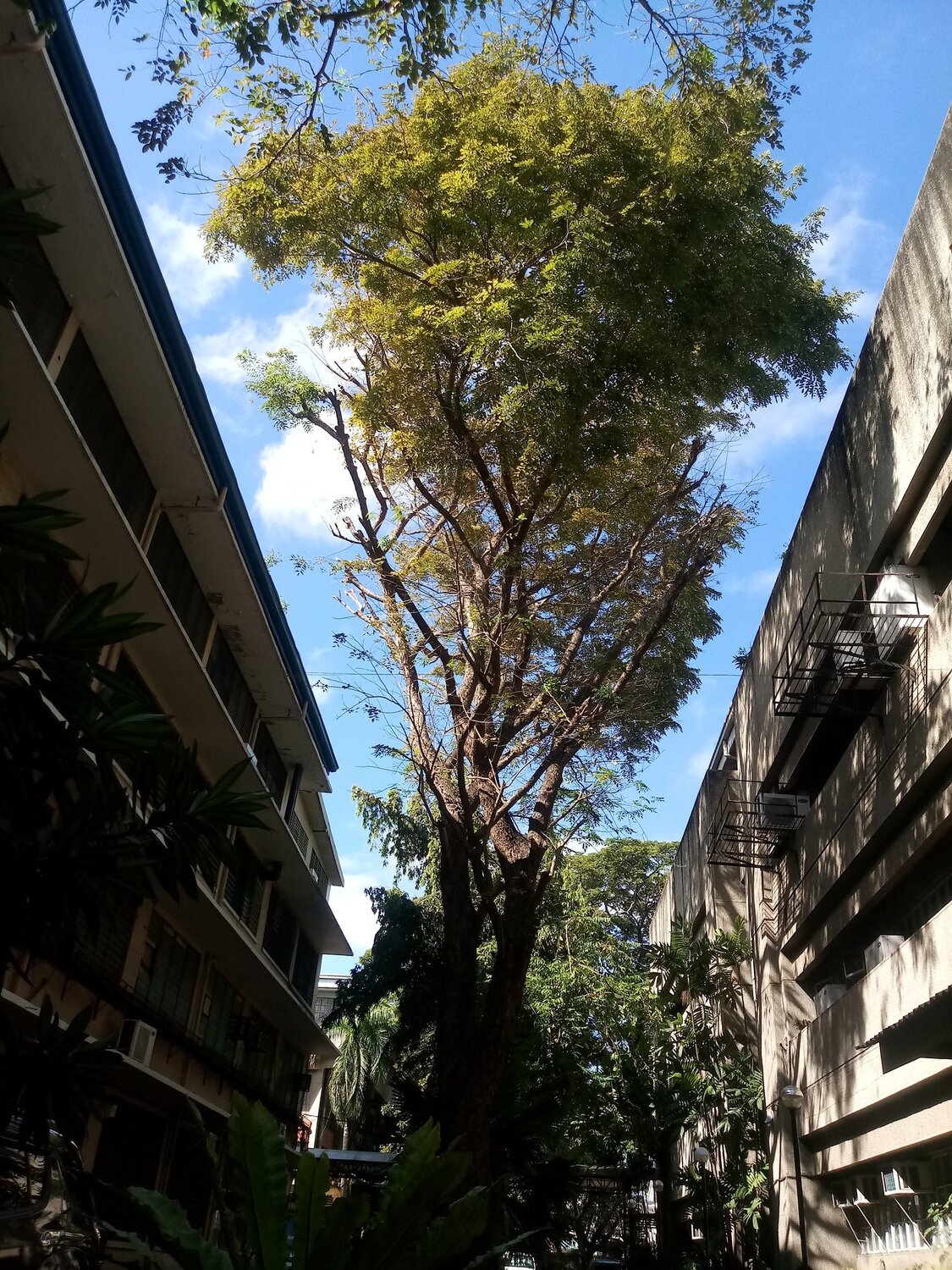 Photo #4175205