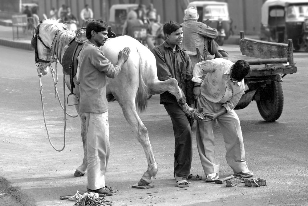 Photograph by Dragan Stojnić Giga