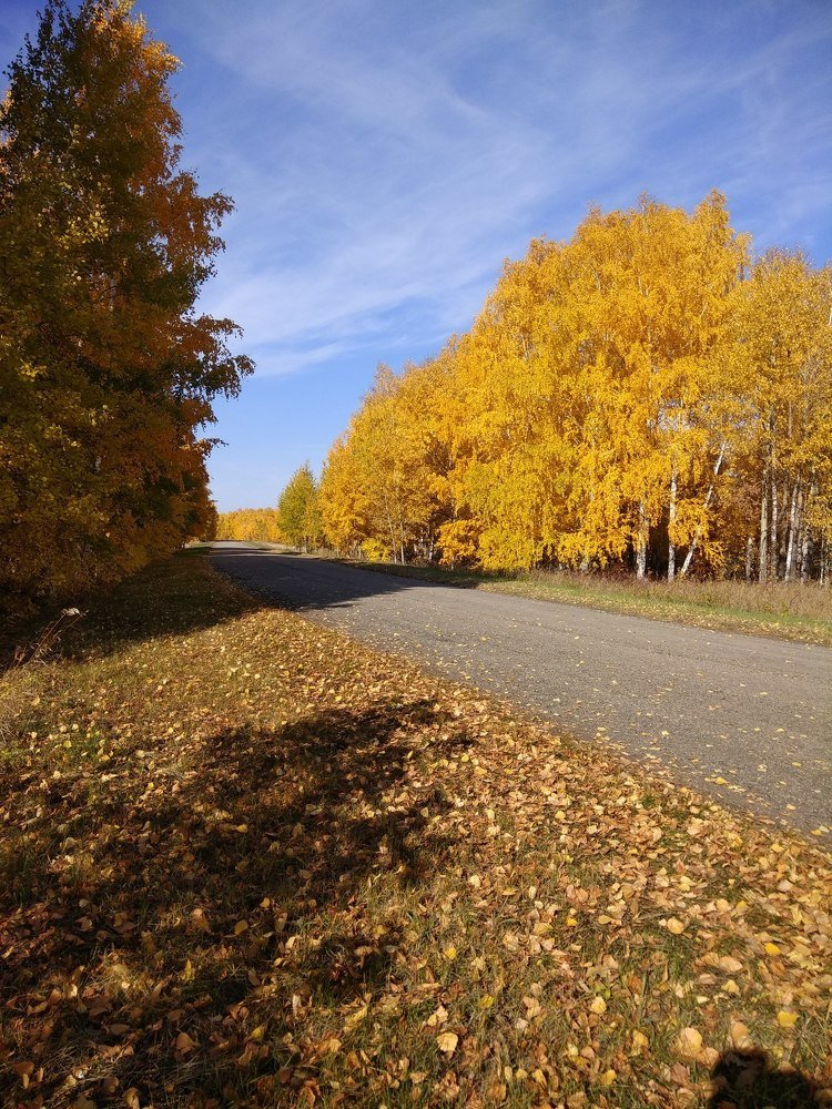 Photograph by Оксана Зяблова