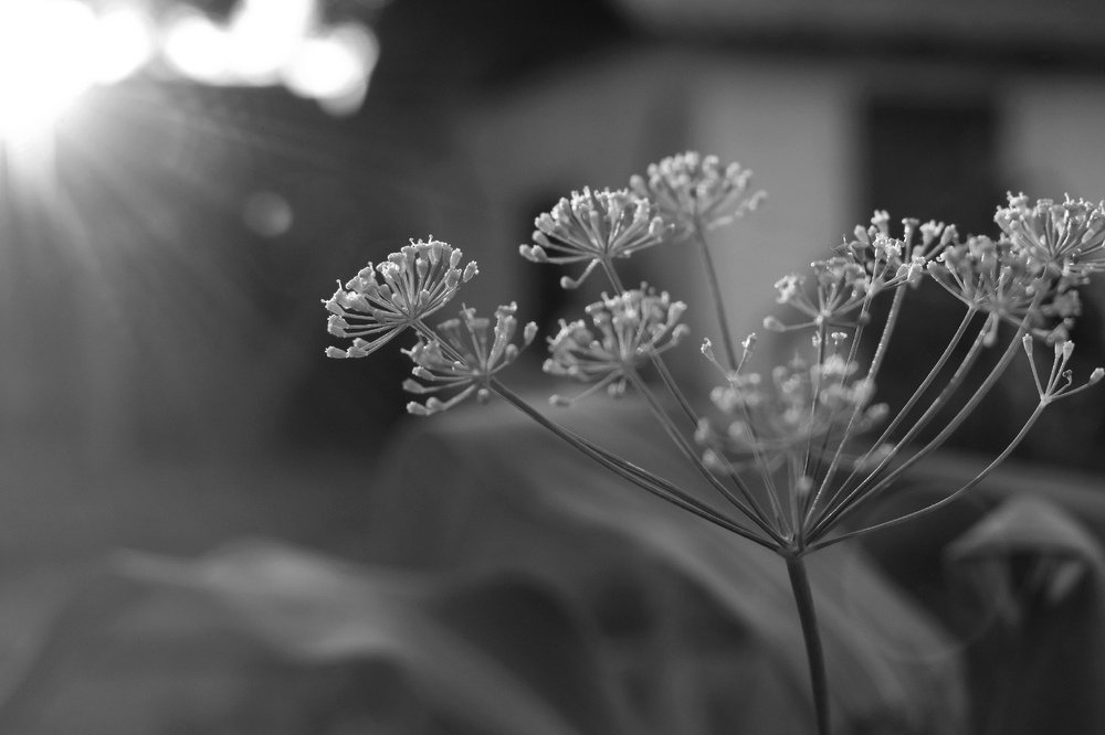 Photograph by Тогжан Таминбаева