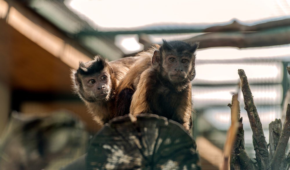 Photograph by Дмитрий Захаров