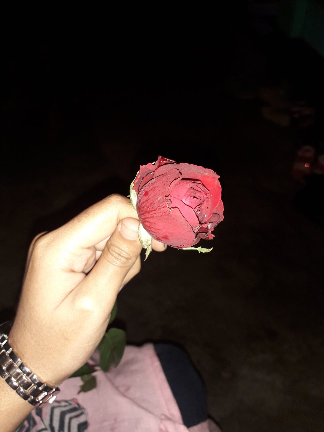 Photo #4175422