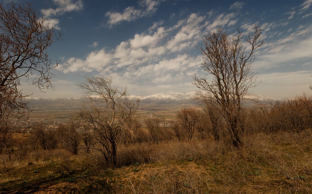 Photograph by Чунина Наталья