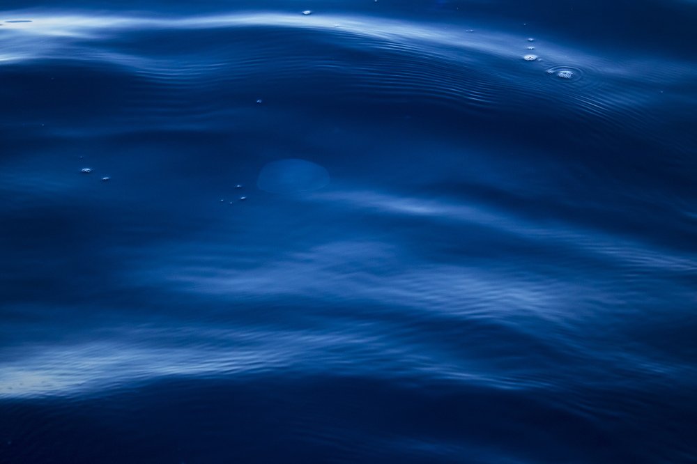 Photograph by abd elrahman farag