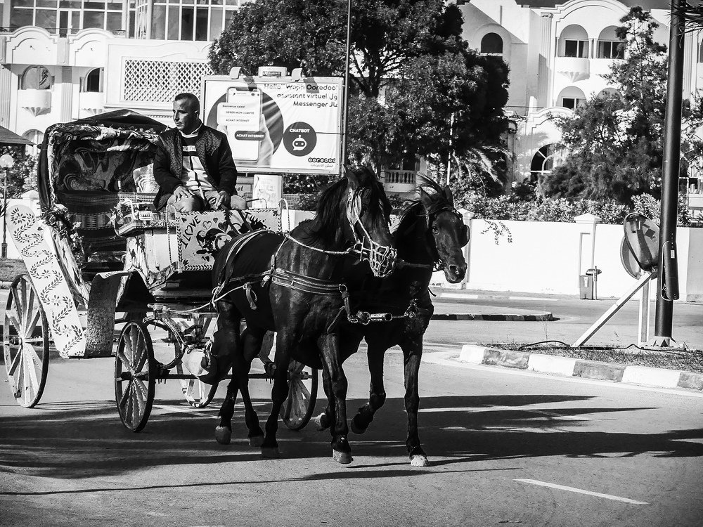 Photograph by Islam Traikia