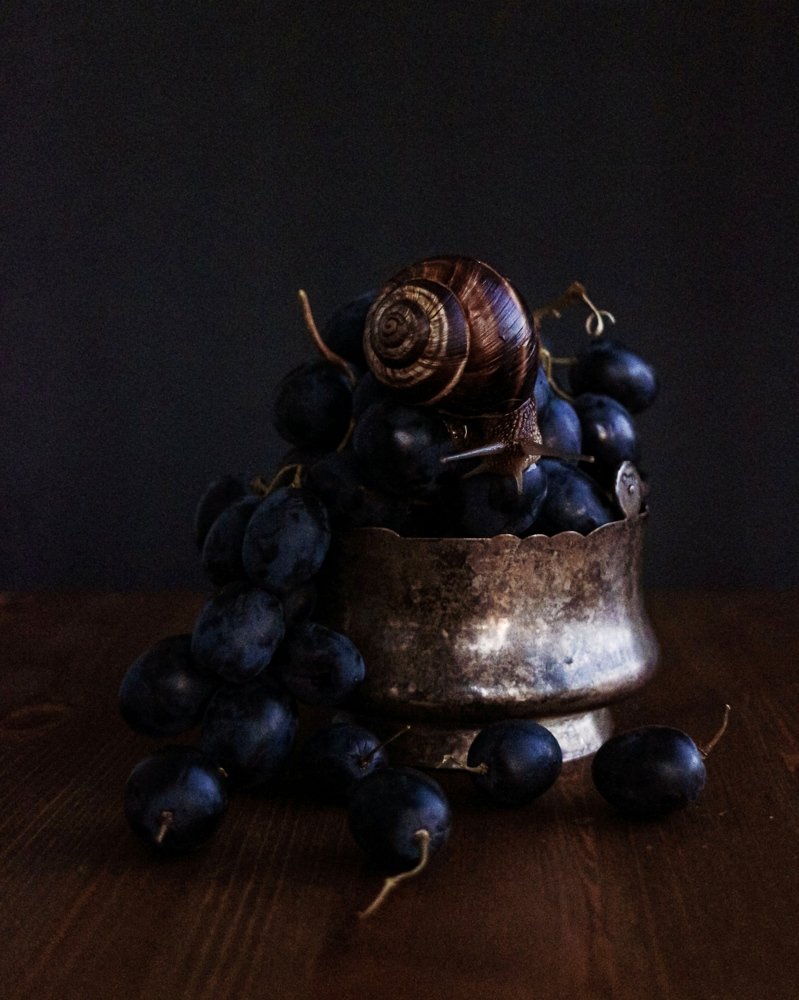 Виноград и улитка.