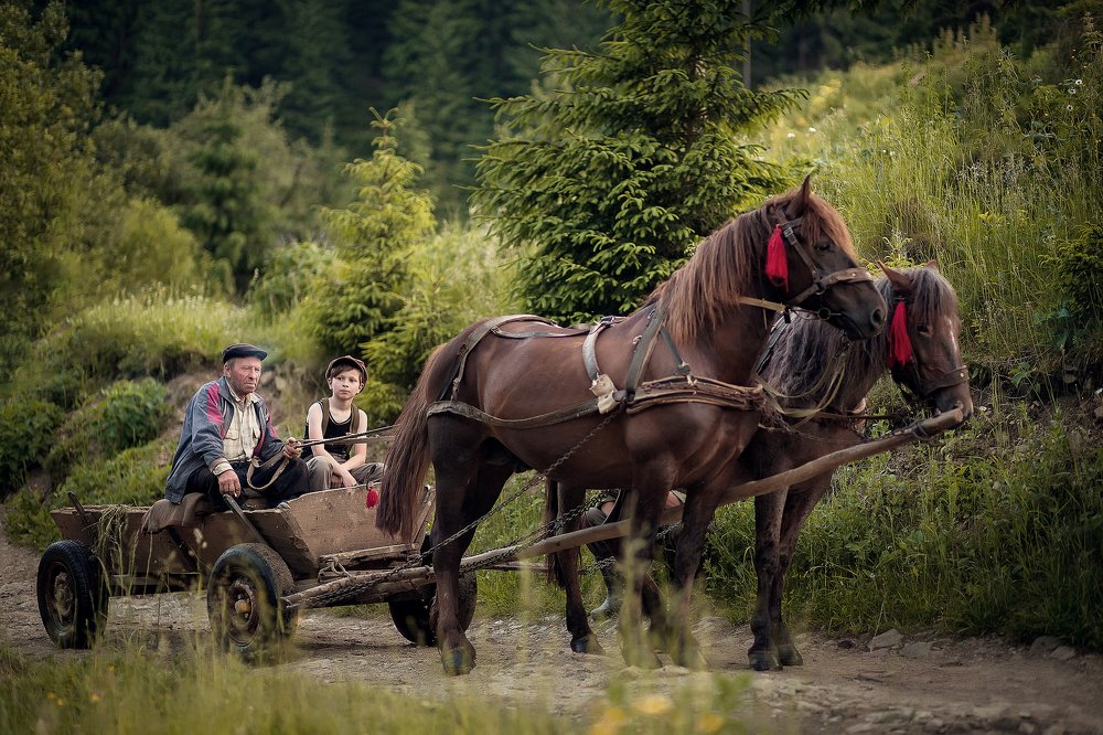 Дорога домой