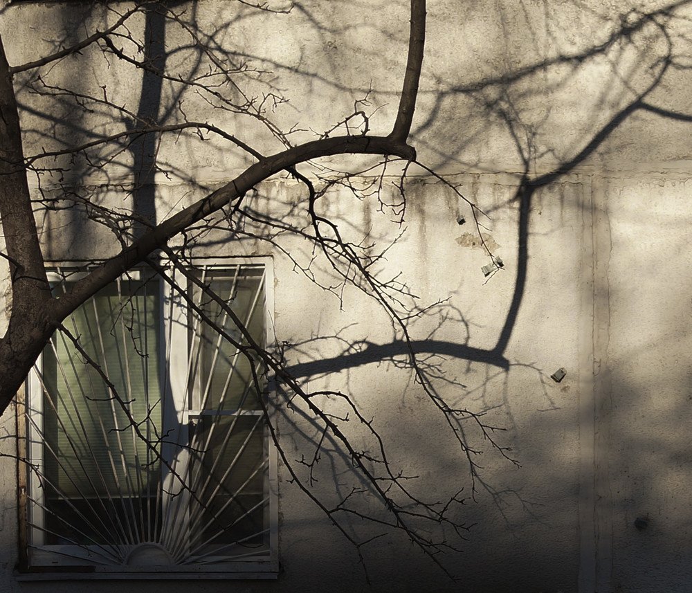 Photograph by Irina Volkova