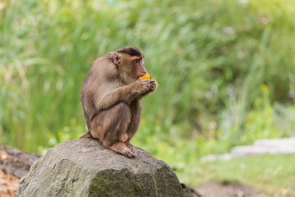 Photograph by Ирина Шумахер