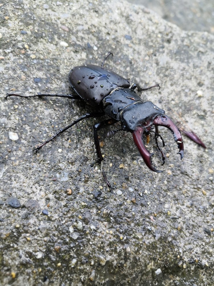 Photograph by Сергей