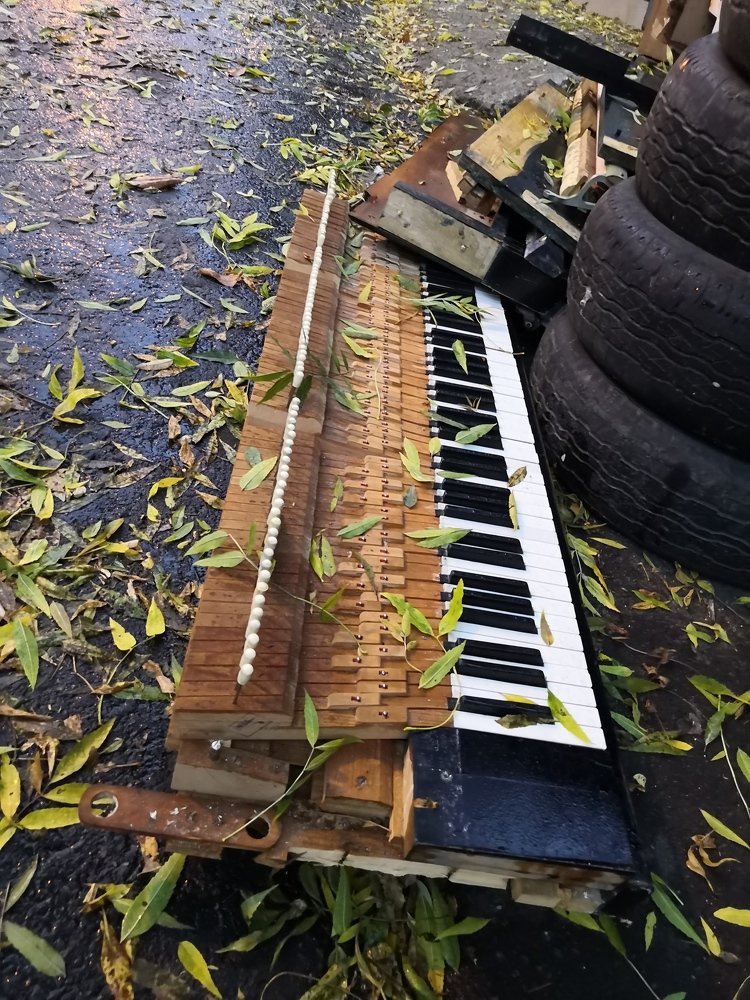 Photograph by Сергей