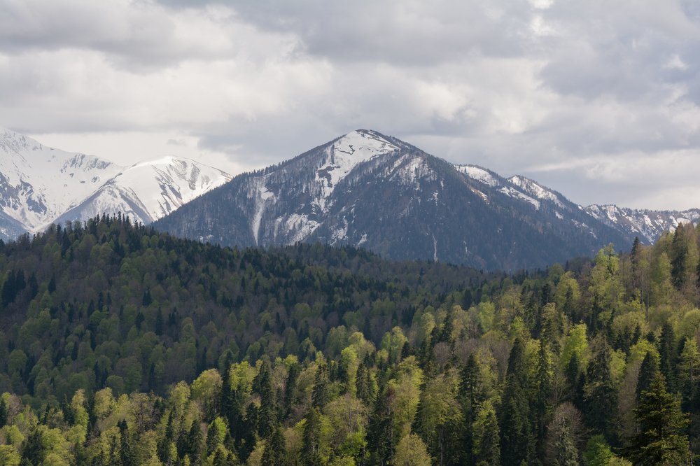 Photograph by Дмитрий Сумин